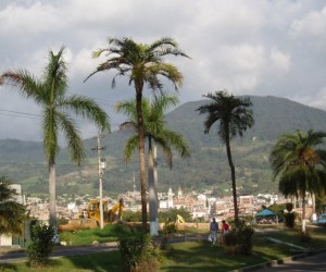 Las Palmas Fusagasugá Avenue Source wikimedia org by Zeuqsav